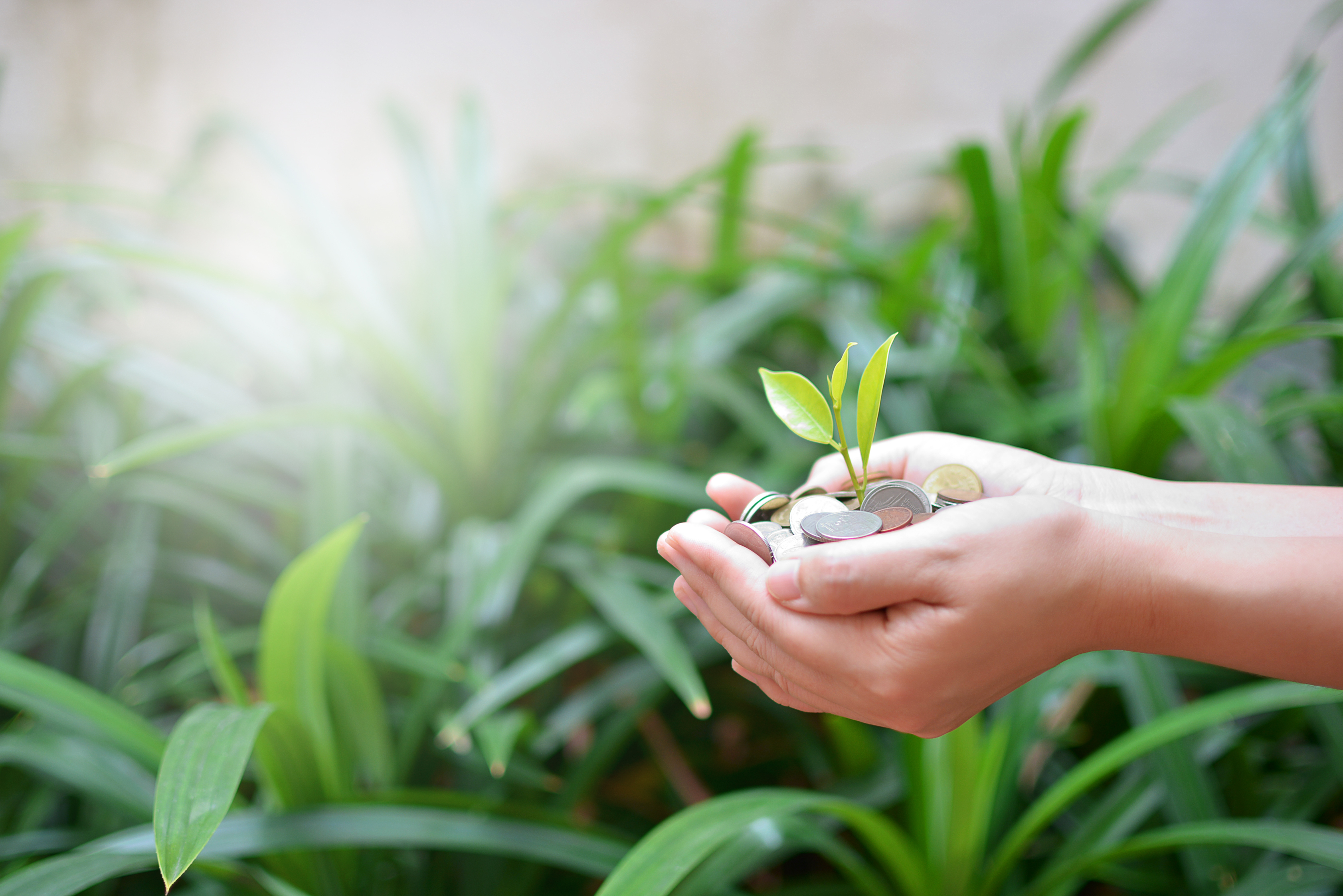 shutterstock_561006454 shutterstock_561006454